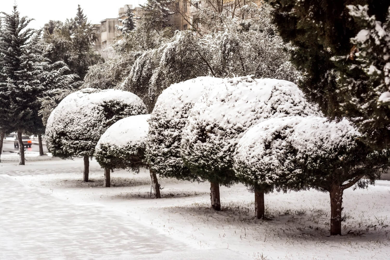 Καιρός: Χειμώνας 48 ωρών - Πού θα χιονίσει;